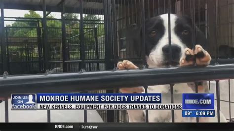 Monroe humane society - Miranda Poreba, of Monroe, is hoping that the newly created Humane Society of Walton County will help change that to a no kill shelter. There was a Walton County Humane Society at one time in the past that was formed in 1971 by Jim Kidd, Frances Enslen, and Paul Verner, Poreba said. However, it …